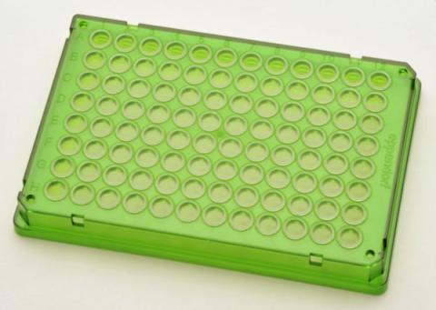 300 PCRPlate 96,skirted green
